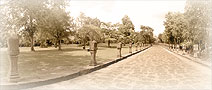 360-DEGREE