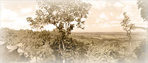 360-DEGREE