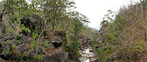 360-DEGREE