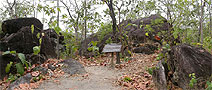 360-DEGREE