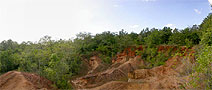 360-DEGREE