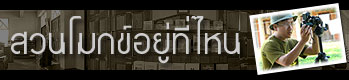 ǹ˹